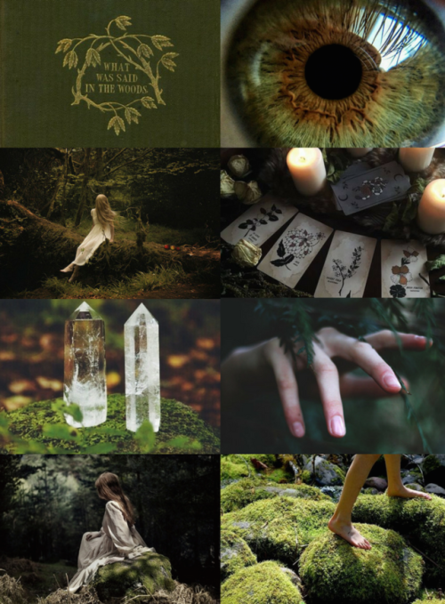 mypieceofculture:Witch Aesthetics // Nature WitchRequestArtist Witch | Secret Witch | Healing Witch 