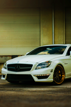 hashpe:  Mercedes CLS63 AMG ADV7 Track Spec