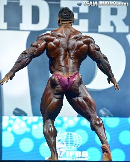 Roelly Winklaar