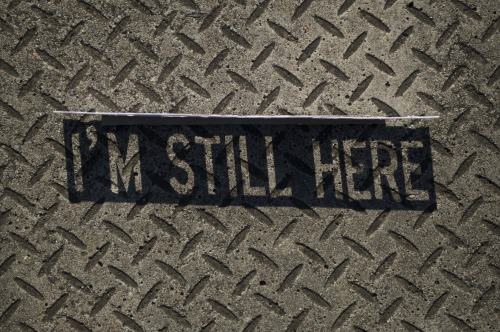 miguelmarquezoutside:Street signage silhouettes - Sydney.