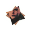 ofmagiick