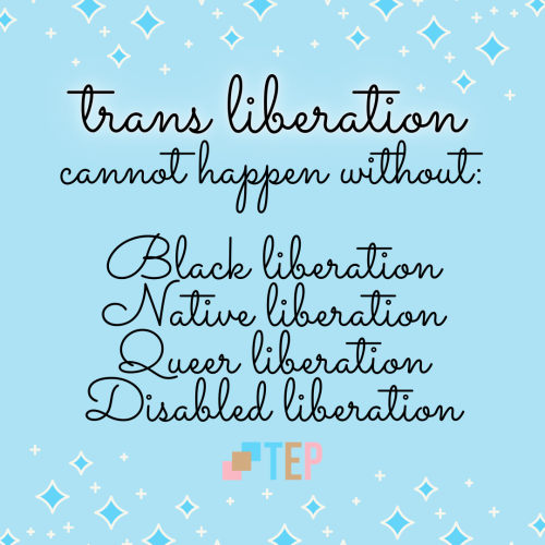 The trans community is inherently linked with all other oppressed communities. We are interdependent