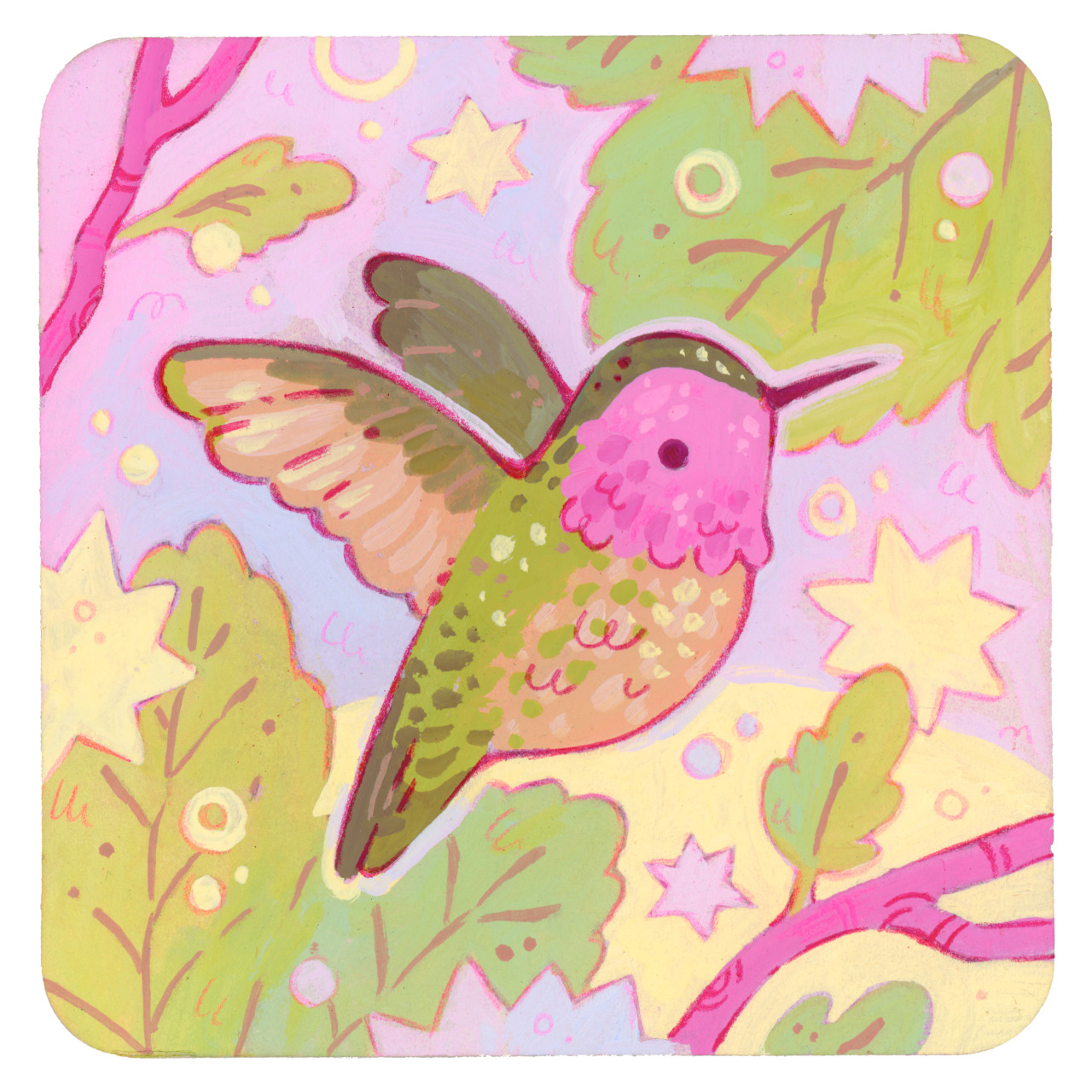 A Dinosaur A Day Anna s Hummingbird A Charming Little Friend Buy 