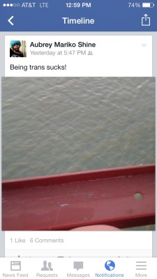 Happydysphoria:so These Posts Were The Last Post Of A Trans Woman Friend That Me