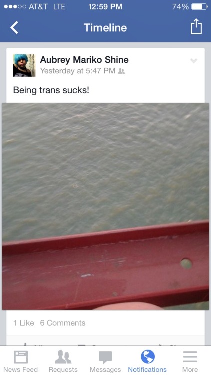chelseapoe:happydysphoria:So these posts were the last post of a trans woman friend that me and a lot of people in the east bay knew and the confirmation that she in fact died. She had attempted suicide once before and we were able to stop her but this