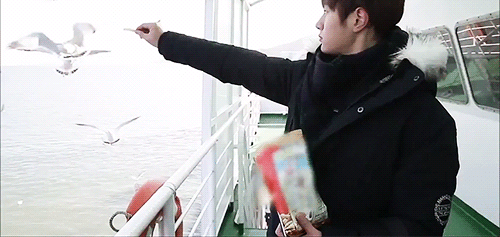satansooworld - myungsoo lovers