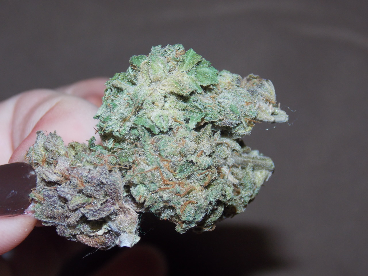 sweetstoner:  when its so sticky your buds stick together. 