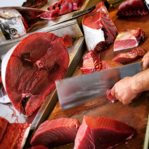 Filetti di tonno, Sicilia - another market photo from Ortigia #tuna #tonno #sicily #pescheria #merca