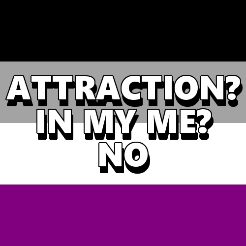 queerlection:[Image description - Images of an aroace, aromantic and asexual pride flag with the tex