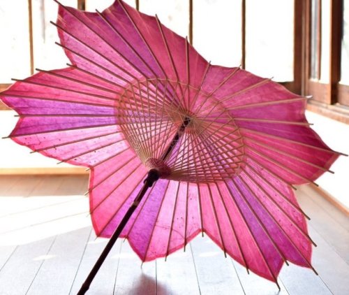 Sakura wagasa, a traditional Japanese umbrella hand made by the specialist Kasabiyori