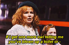 theghostoflove:  2/77 Funny/Epic HP Moments ↳ The running Hogwarts toilet seat