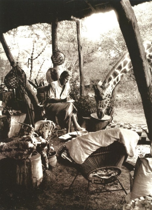 Peter Beard working at his bush camp in Kenya