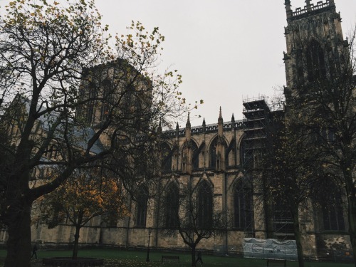 ablogwithaview - The York Minster, November 2015