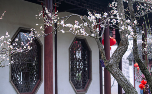 nanyuan南园, suzhou, jiangsu province by 白墙下的花园