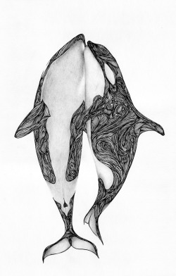 1000drawings:  Wildlife by Max Rajado