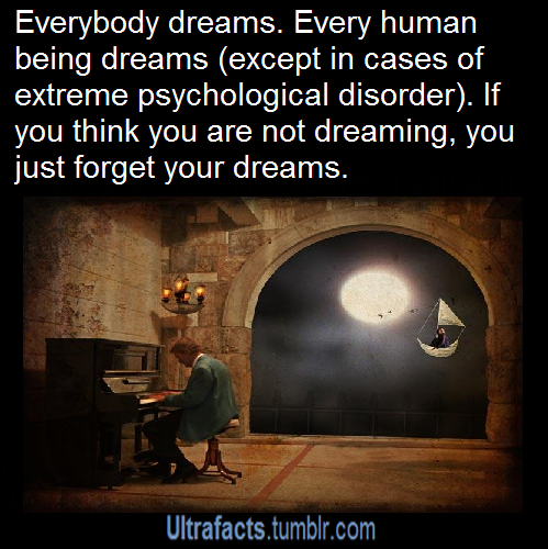 ultrafacts:  For more posts like this, follow Ultrafacts