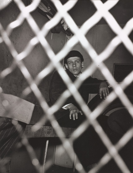 Frank Pape, Arrested for Homicide, November 10, 1944 by Weegee