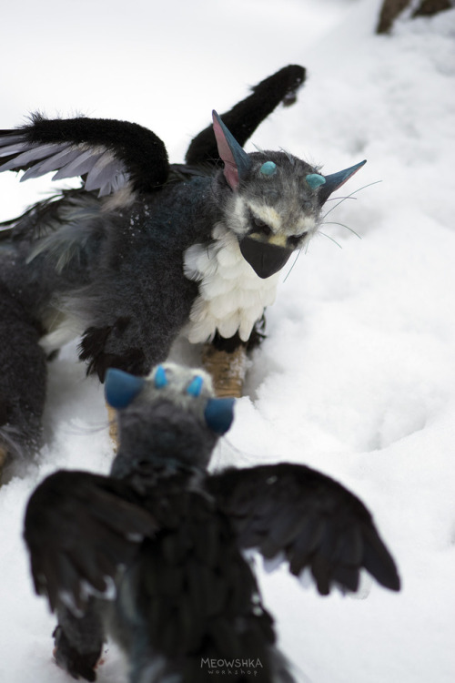 The first of two Trico. He has moveable legs until each finger. Handmade art doll.