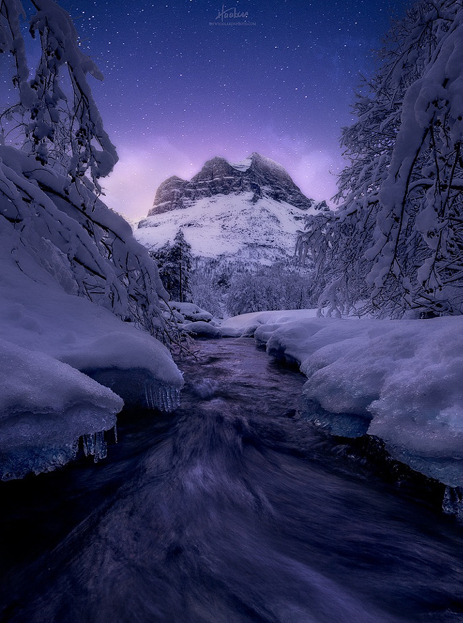 drxgonfly:  Morning Glow (by Haakon Nygaard)