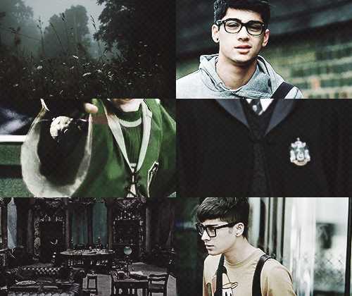 AU: Zayn Malik - pureblood and he is seeker in the Slytherin Quidditch team.