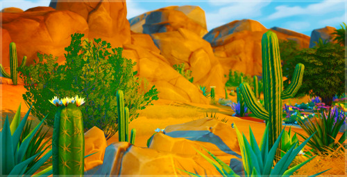 oasis springs