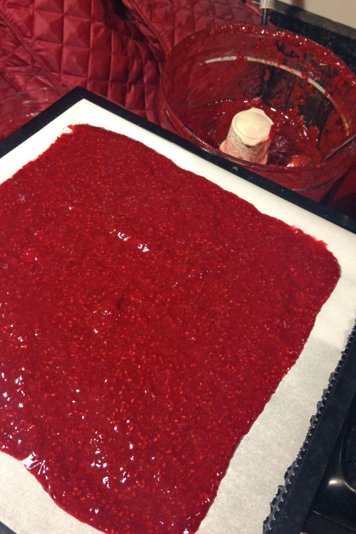 hqcreations: Food Preservation: Making Raspberry Fruit LeatherI miss the flavors of summer berries a