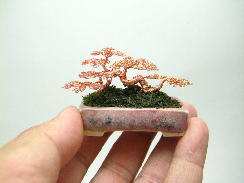 variablejabberwocky: ashkatom: pixieorsomething: ianbrooks: Wire Bonsai by Ken To Bonsai is a r