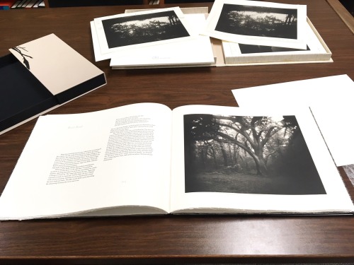 New Acquisition: Southern Landscapes Published by 21st century editions, this gorgeous book is a lim