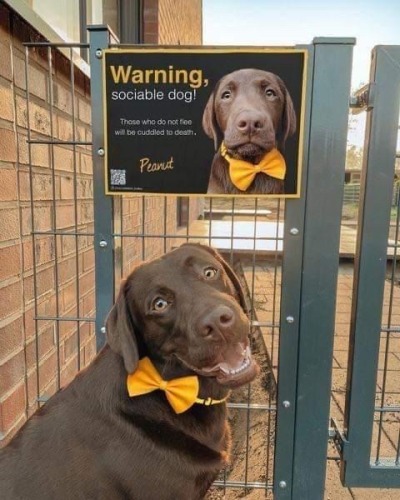 memeuplift: