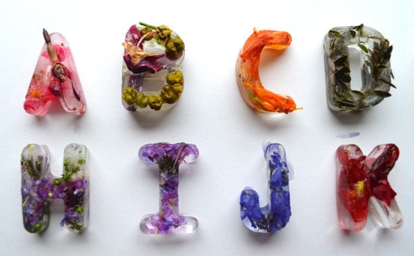 kjevangelista:  Botanical Typography Made with Frozen Flowers in Ice by Petra Blahova