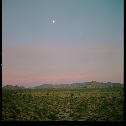 Pr-Incessdiana:super Moon On The Rise. Joshua Tree National Park, ‘17