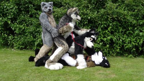 Found this on a hate blog, and thought it deserved a little more respect. ;3***Not Murrsuits***