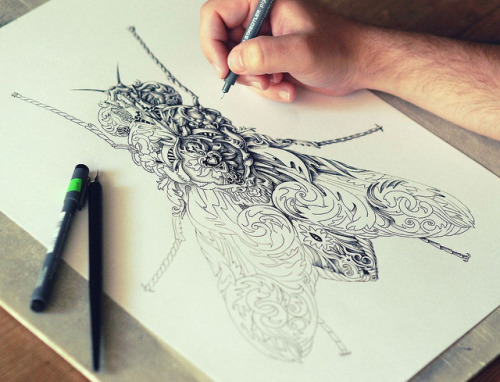 Alex Konahin’s artwork. (via Alex Konahin’s Intensely Ornate Illustrations | Hi-Fructose Magazine)