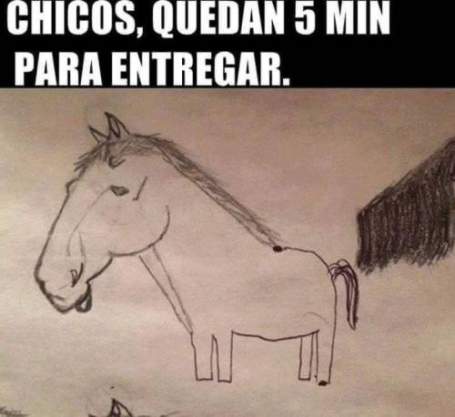 Follamos con Gordas