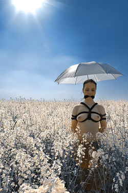 sugarburnlatex:  master-bunyip-reloaded:  Slave in the fields  I really love this photo, it’s peaceful, serene, sexy, but I can’t understand why the person I reblogged it from thought it was acceptable to caption it, “Slave in the fields,” I mean