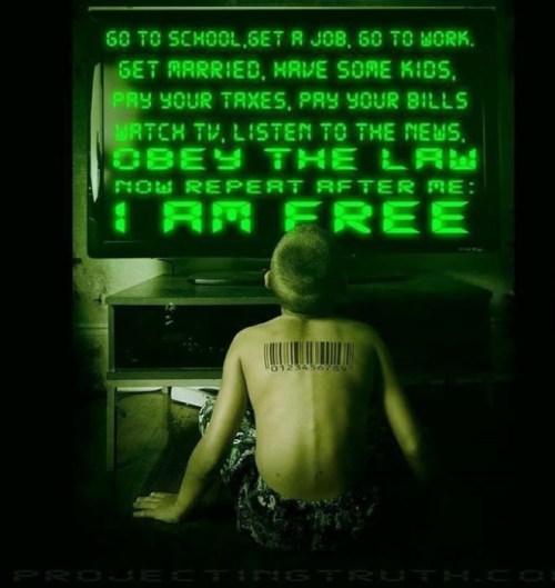 i am free