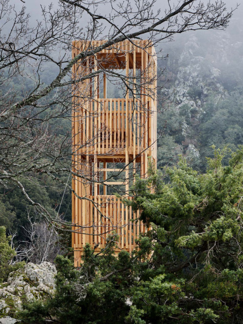 subtilitas: Orma - National park observation towers, Venaco 2018. Photos © Julien Kerdraon, David Gi