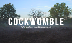 thecrystalcavern:  beau–brummell:  etave:  buzzfeeduk:  Very Sweary British Words You Need To Use Right Now  Oh yes, cockwomble is one of my faves.  I use it all the time, most recently when me and my partner were discussing Simon Foster.  Who is