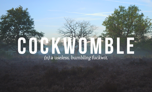 buzzfeeduk:Very Sweary British Words You Need To Use Right Now