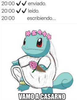 futubandera:  Son la luz de mi charmander!!