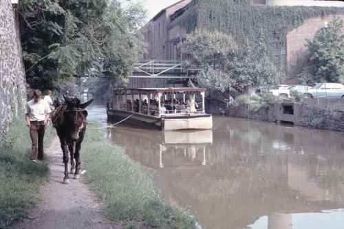 Sightseeing by Mule Drawn Barge, Chesapeake & Ohio Canal, Georgetown District, Washington, DC, 1