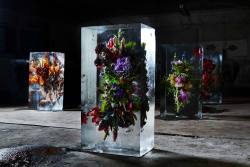 itscolossal:  Iced Flowers: Exotic Floral Bouquets Locked in Blocks of Ice by Makoto Azuma