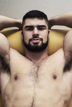 oofahpapa:  yummyhairydudes:  Accidentalbear.com YUM!  For MORE HOT HAIRY guys-Check out my OTHER Tumblr page:http://www.hairyonholiday.tumblr.com   http://oofahpapa.tumblr.com/archive 