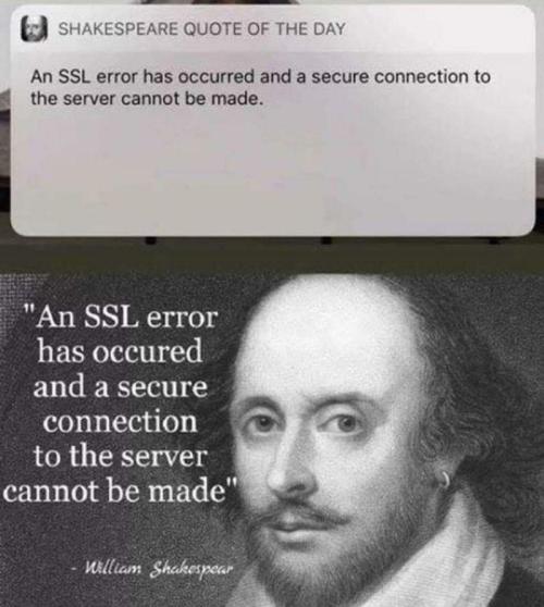 programmerhumour:Shakespeare won’t be useful in it, they said
