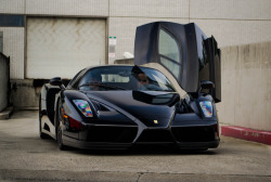 automotivated:  Enzo (by Bernardo Macouzet Photography)