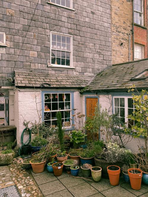 alittleplanttherapy:Plant filled terrace | Daria Shevtsova 