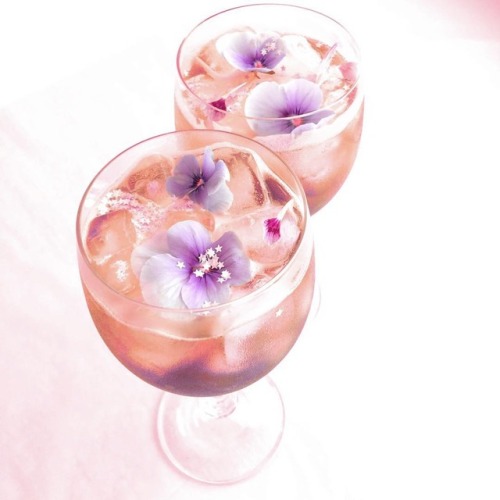 Pansy gin and sparkling stars | by caroline khoo