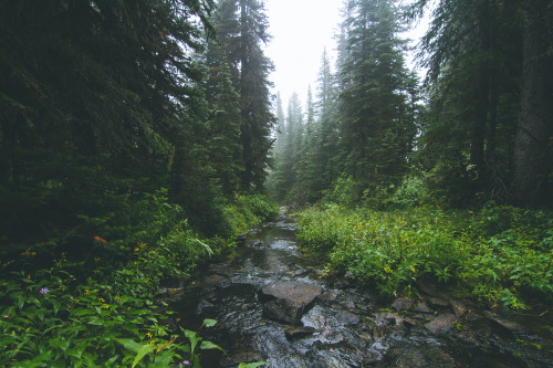 Goat Lake by Leah Kling