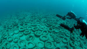 ultrafacts:It is called the Osborne Reef, located off the coast of Fort Lauderdale, Florida. In the 1970s, the reef was the subject of an ambitious expansion project utilizing old and discarded tires. The project ultimately failed, and the “reef”