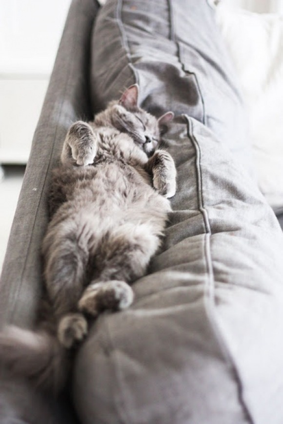 damnwhiteboys:  pollutedbrain:  maya47000:  Happiness   😍😍😍  I wish I was